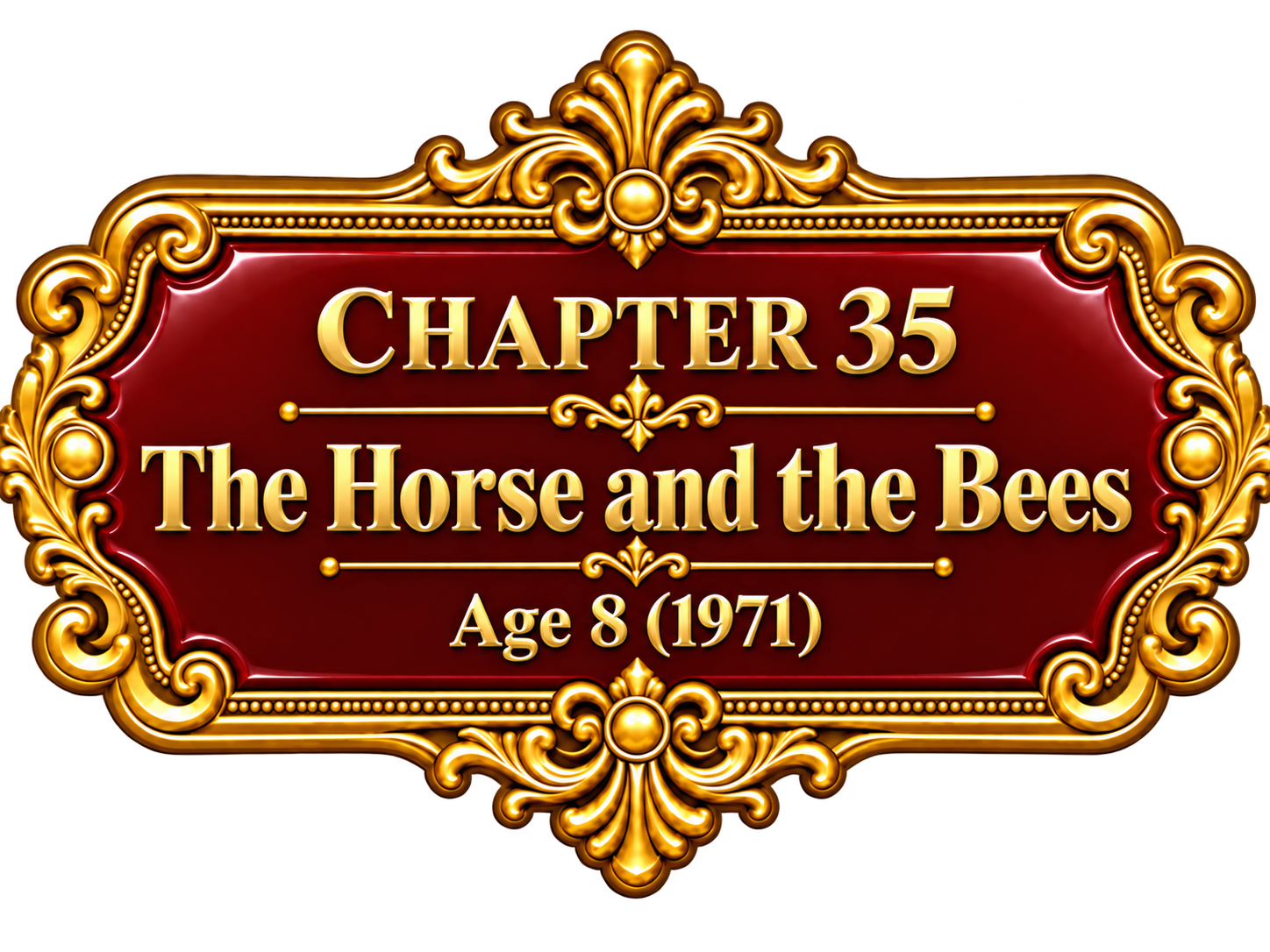 Chapter 35 — The Horse and the Bees — Age 8 (1971)
